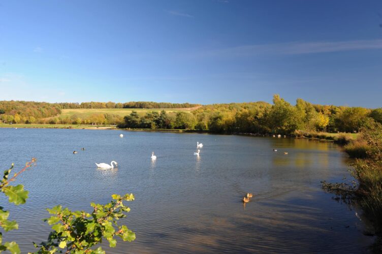 Three Lakes Classic Running Event