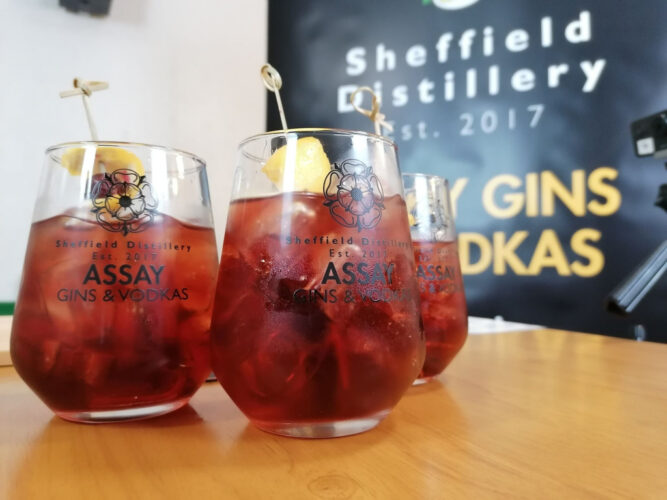 Vodka & Gin Tasting