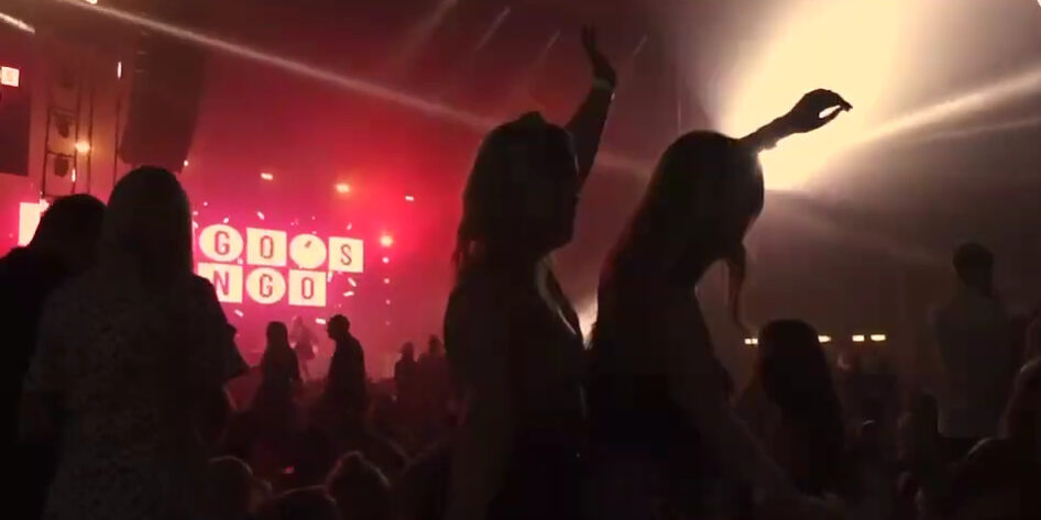 Bongo’s Bingo XL