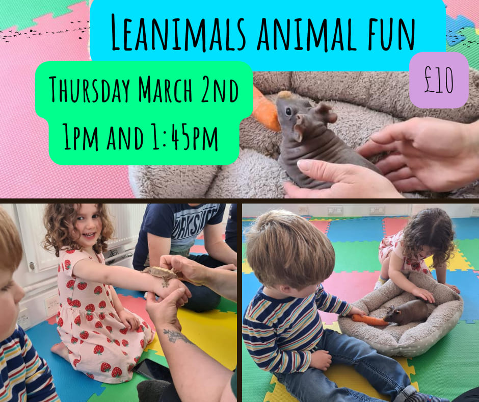 Leanimals animal fun