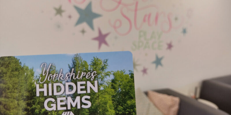 rothbiz yorkshires hidden gems bright stars