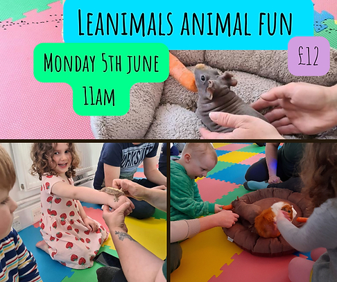 Leanimals animal fun